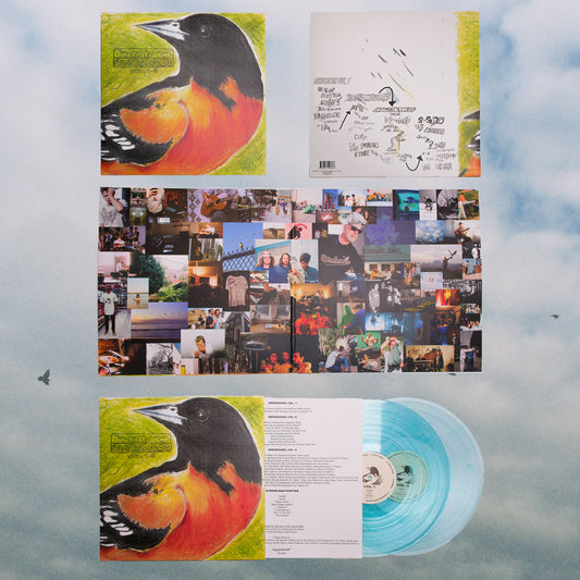 BIRDSONGS Trilogy Vinyl (2xLP)